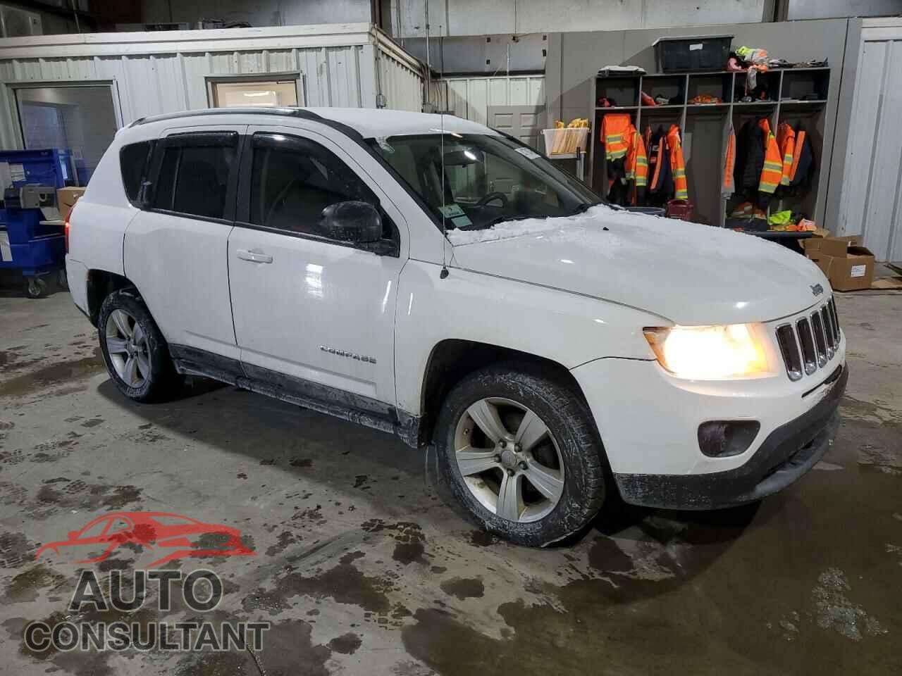 JEEP COMPASS 2011 - 1J4NT1FA1BD137635