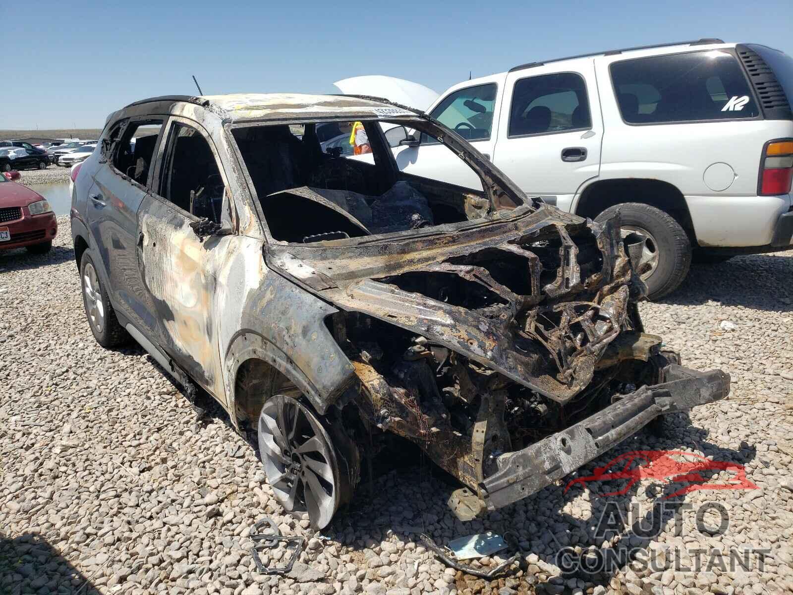 HYUNDAI TUCSON 2017 - KM8J3CA43HU562876