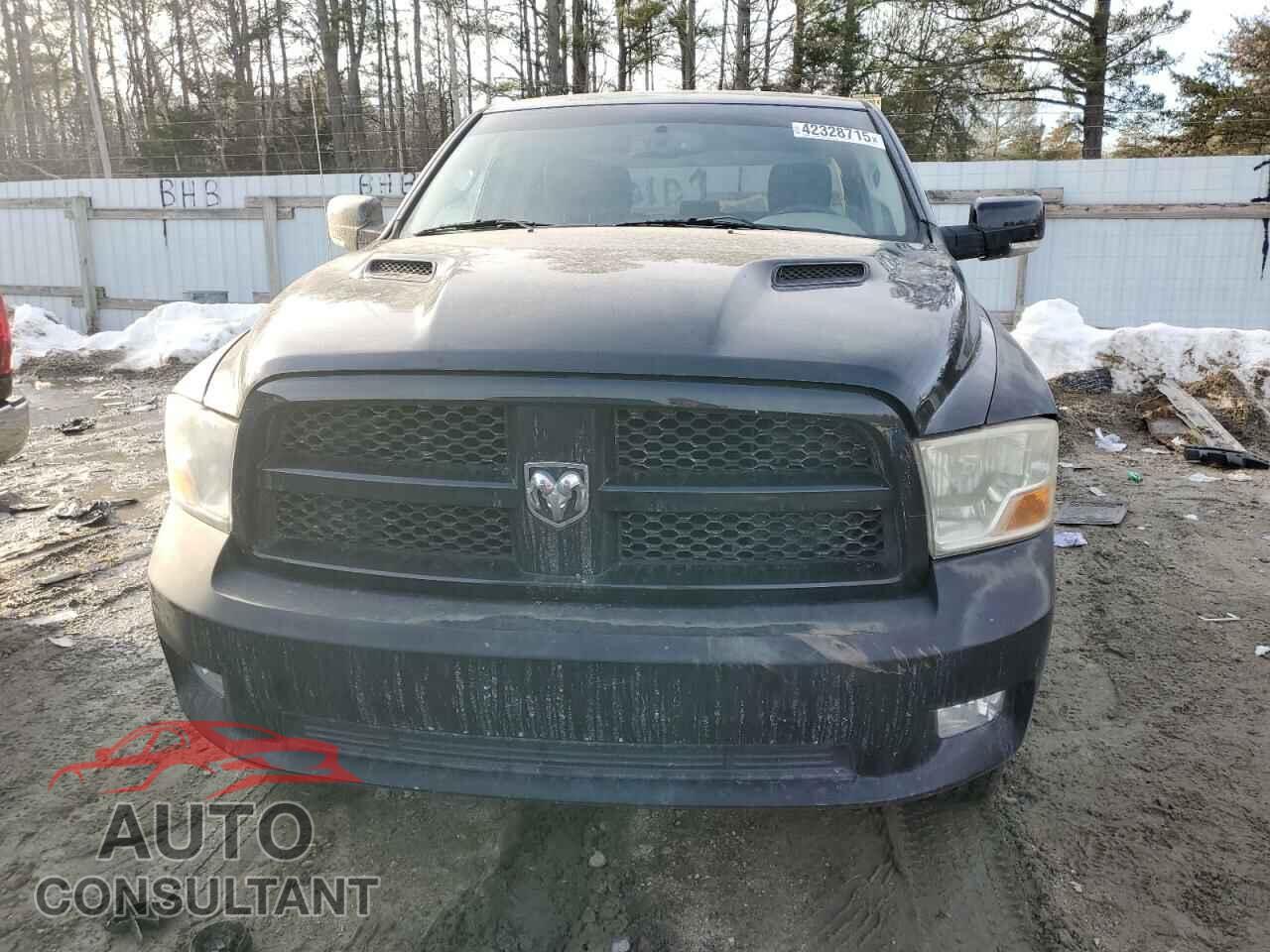 DODGE RAM 1500 2012 - 1C6RD7KT4CS227848