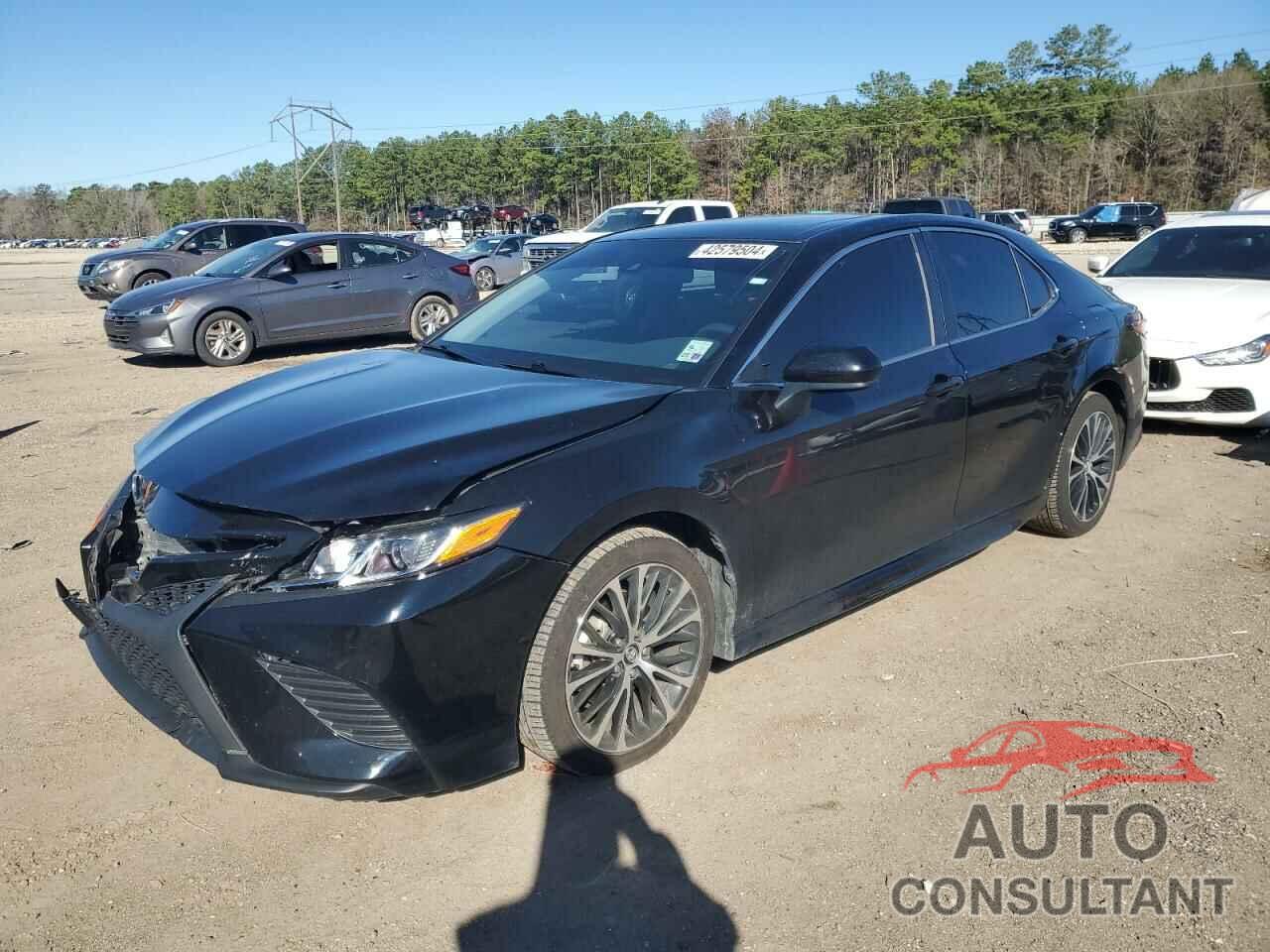 TOYOTA CAMRY 2019 - 4T1B11HK9KU799205
