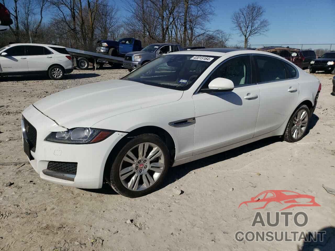 JAGUAR XF 2016 - SAJBD4BV3GCY10102
