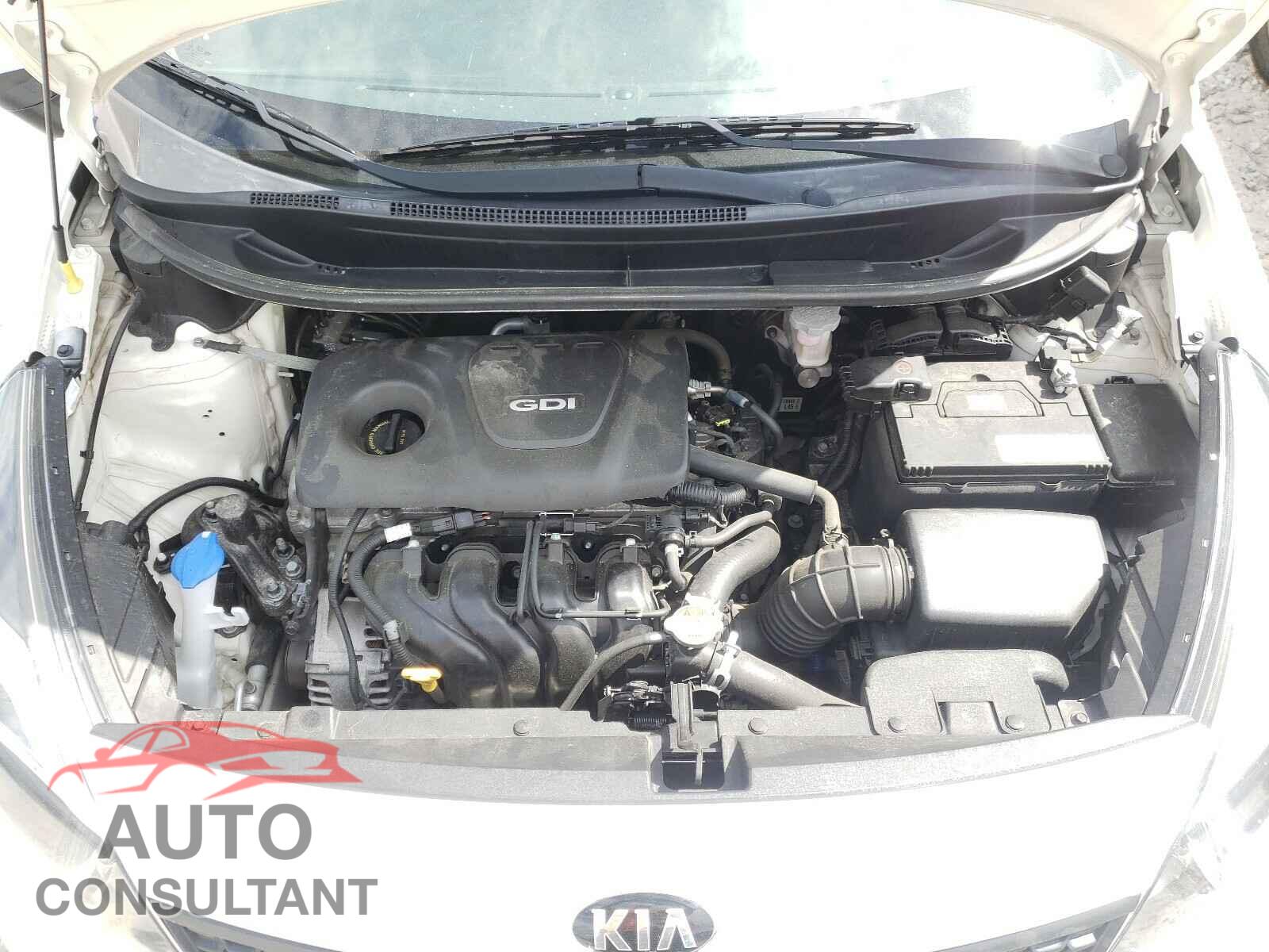 KIA RIO 2017 - KNADM4A38H6025952