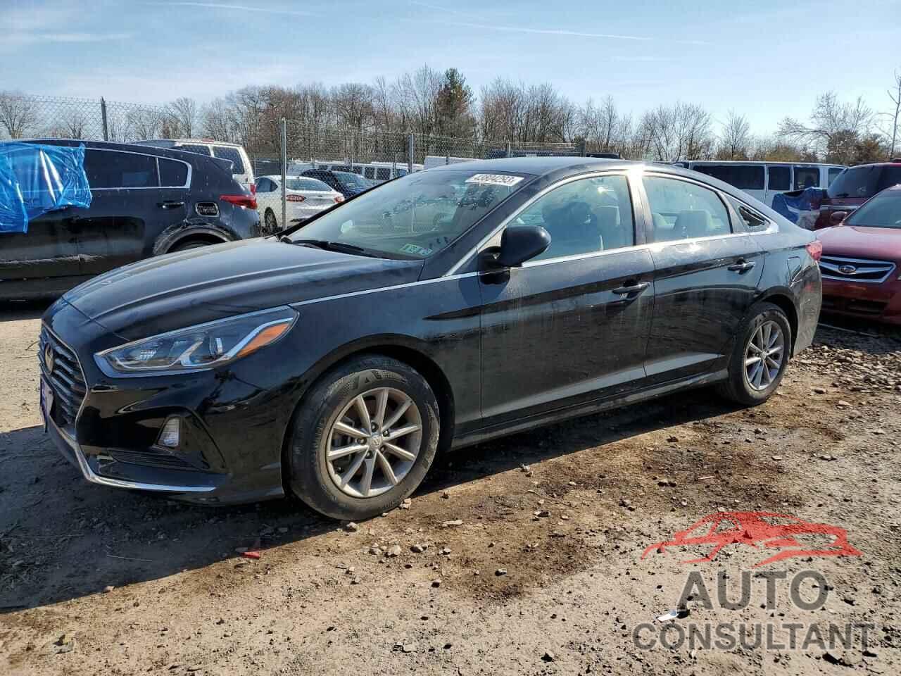 HYUNDAI SONATA 2019 - 5NPE24AFXKH787328