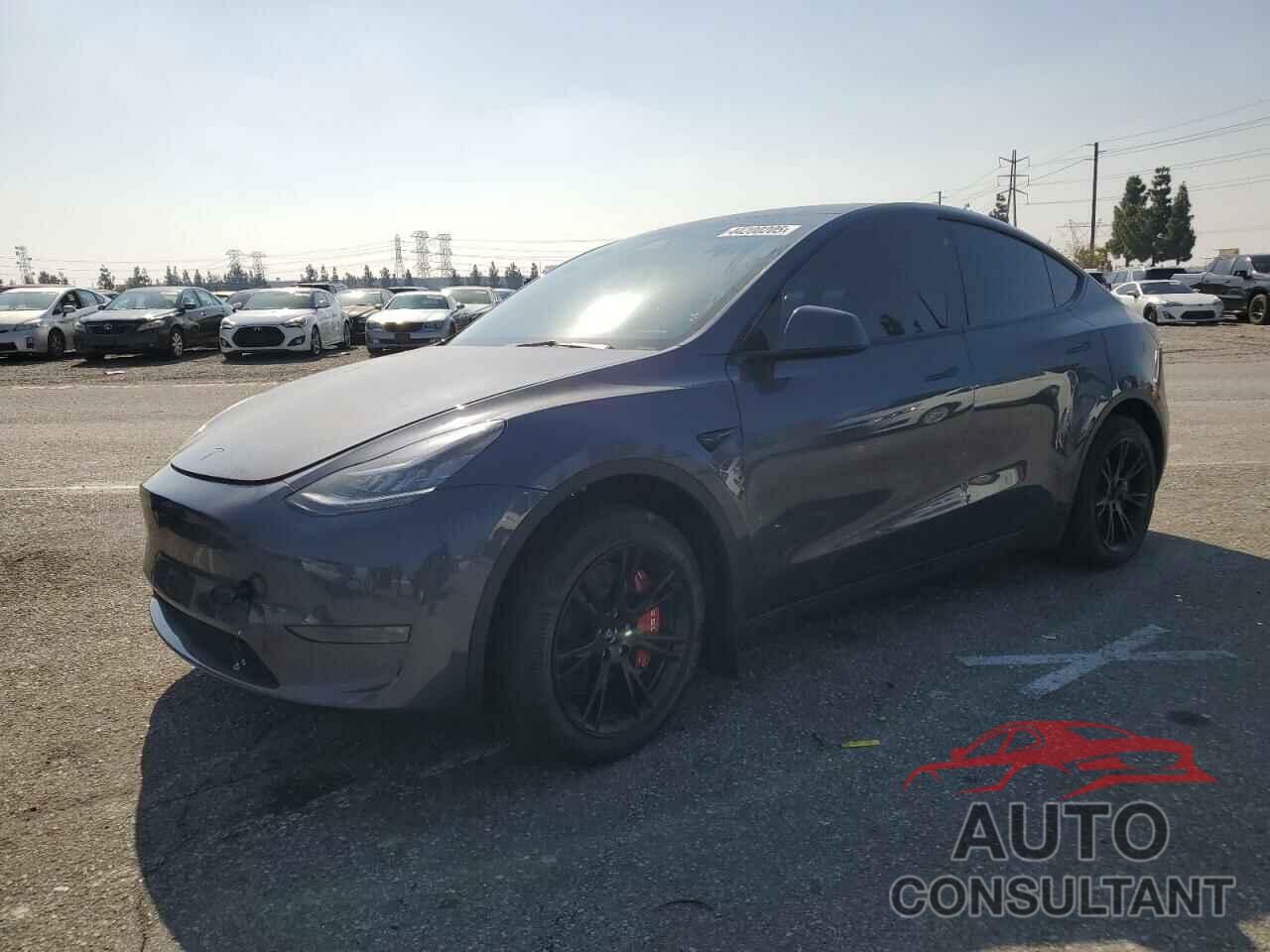 TESLA MODEL Y 2023 - 7SAYGDEE1PA061735