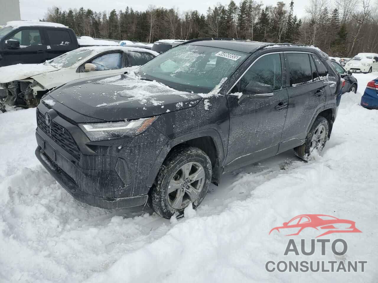 TOYOTA RAV4 2023 - 2T3R1RFV9PC360631