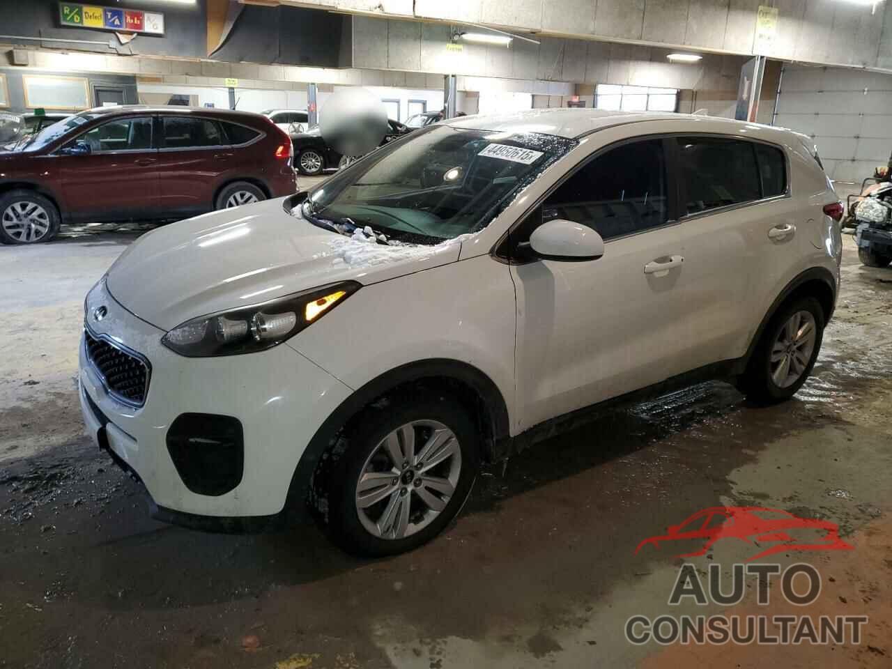 KIA SPORTAGE 2017 - KNDPM3AC1H7097287