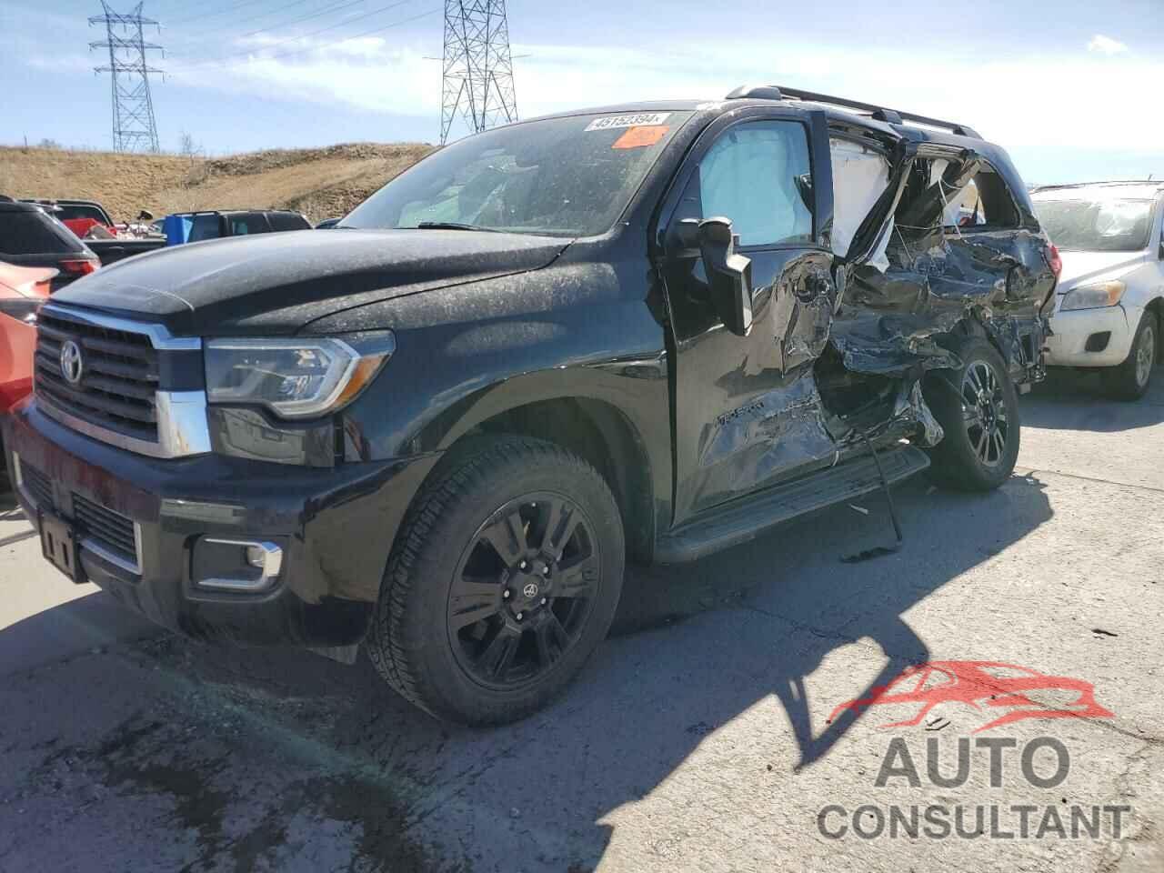 TOYOTA SEQUOIA 2019 - 5TDBY5G13KS169300