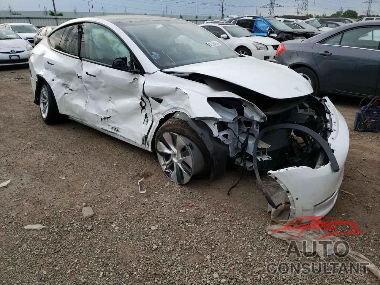 TESLA MODEL Y 2020 - 5YJYGDEE0LF009989