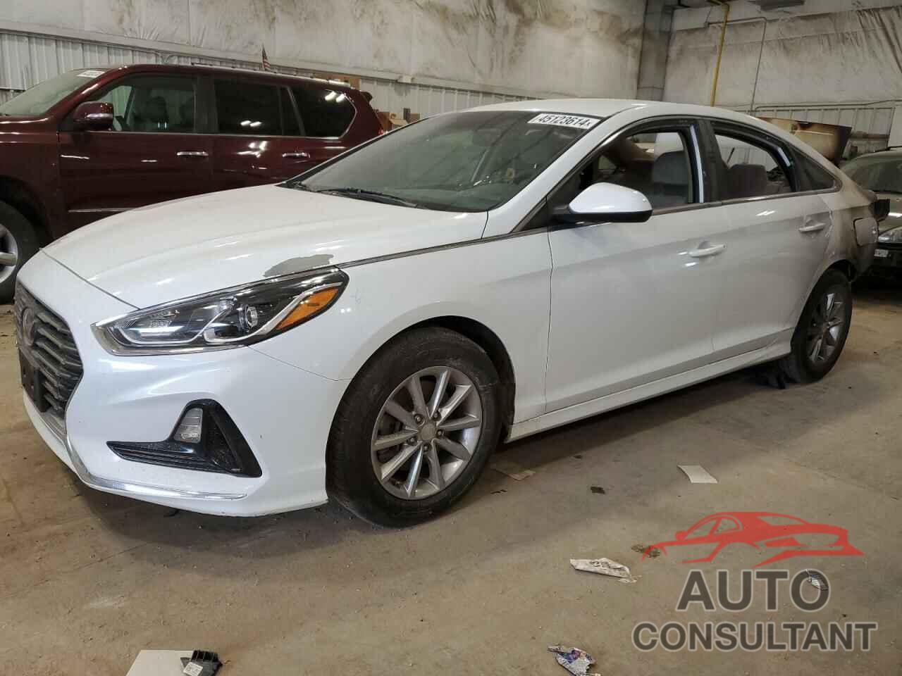 HYUNDAI SONATA 2019 - 5NPE24AF8KH774223
