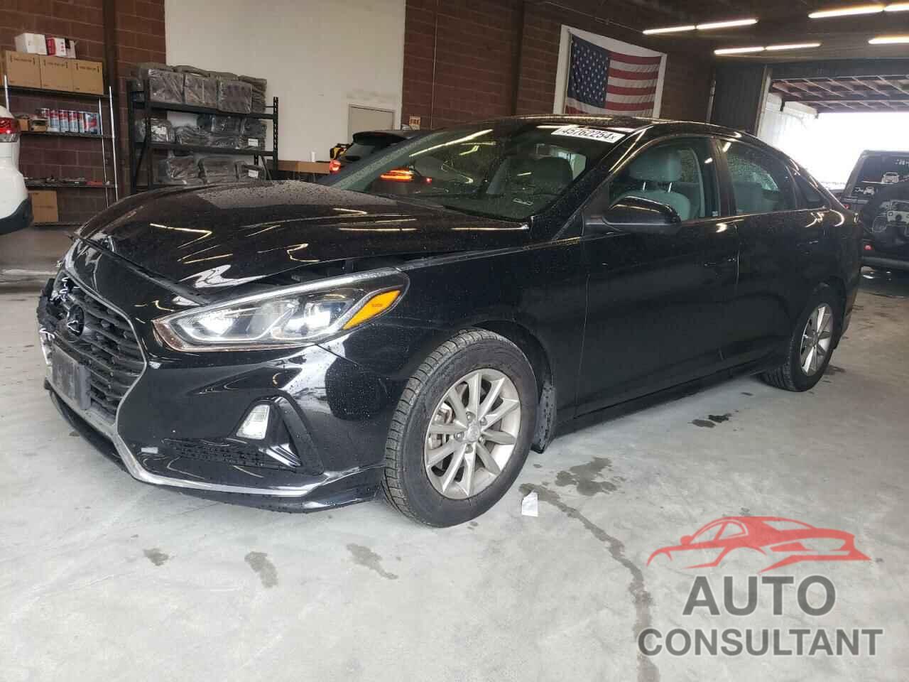 HYUNDAI SONATA 2019 - 5NPE24AF5KH804293