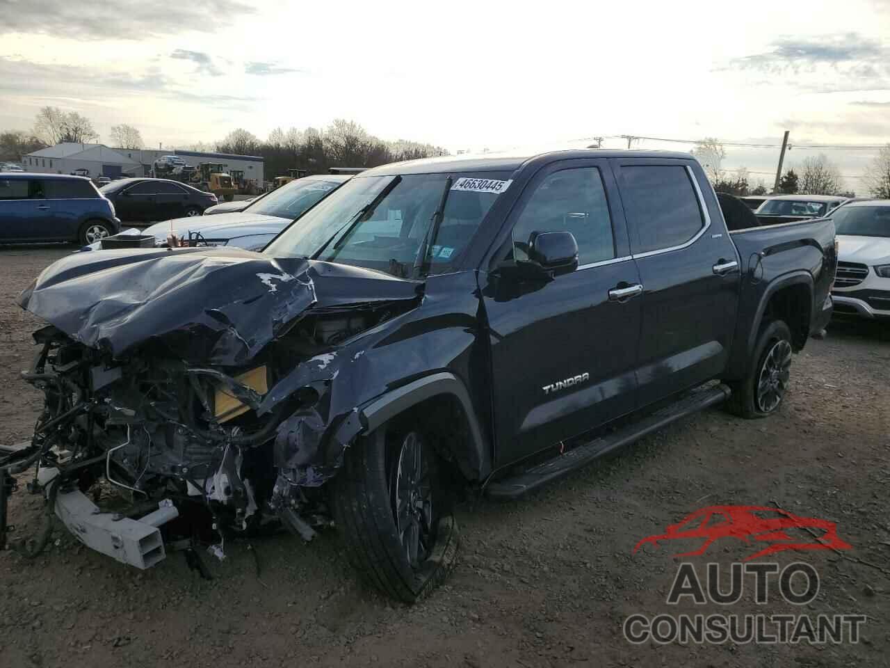 TOYOTA TUNDRA 2024 - 5TFJC5DB4RX049128