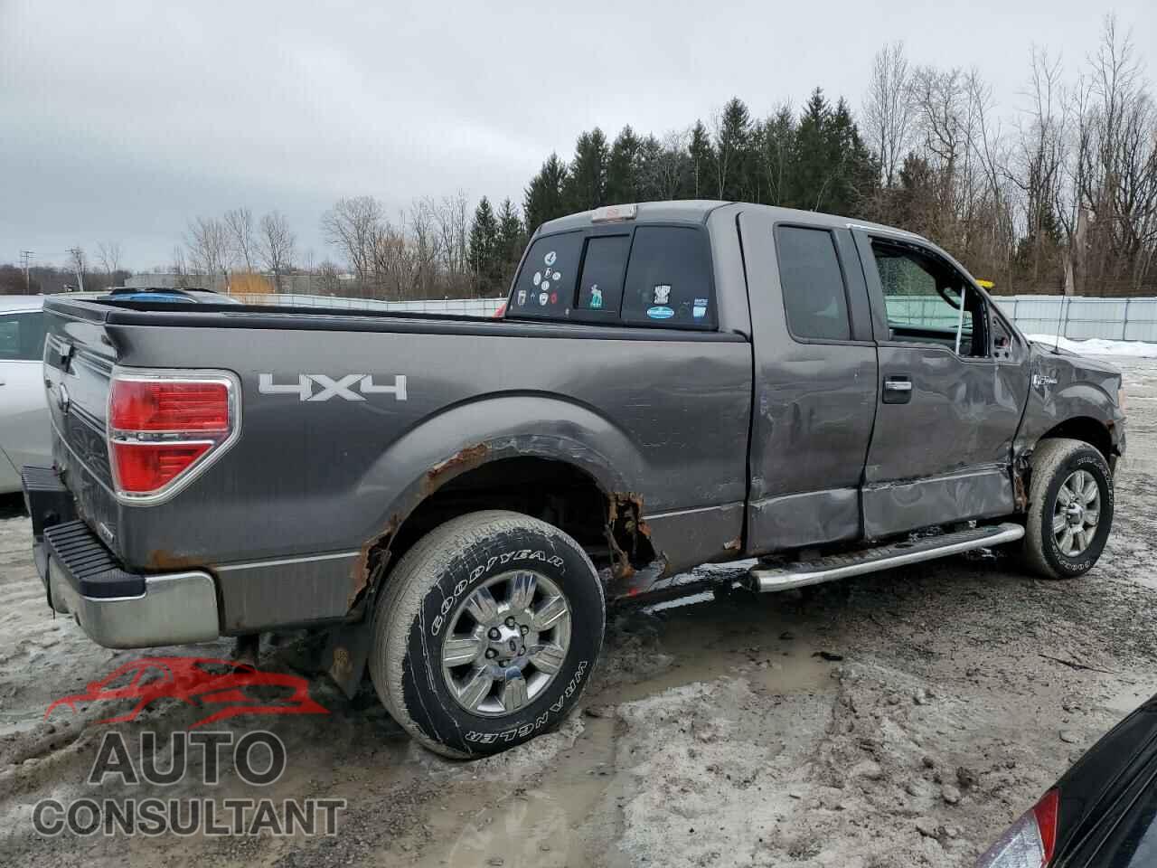 FORD F-150 2011 - 1FTFX1EF1BFD18900