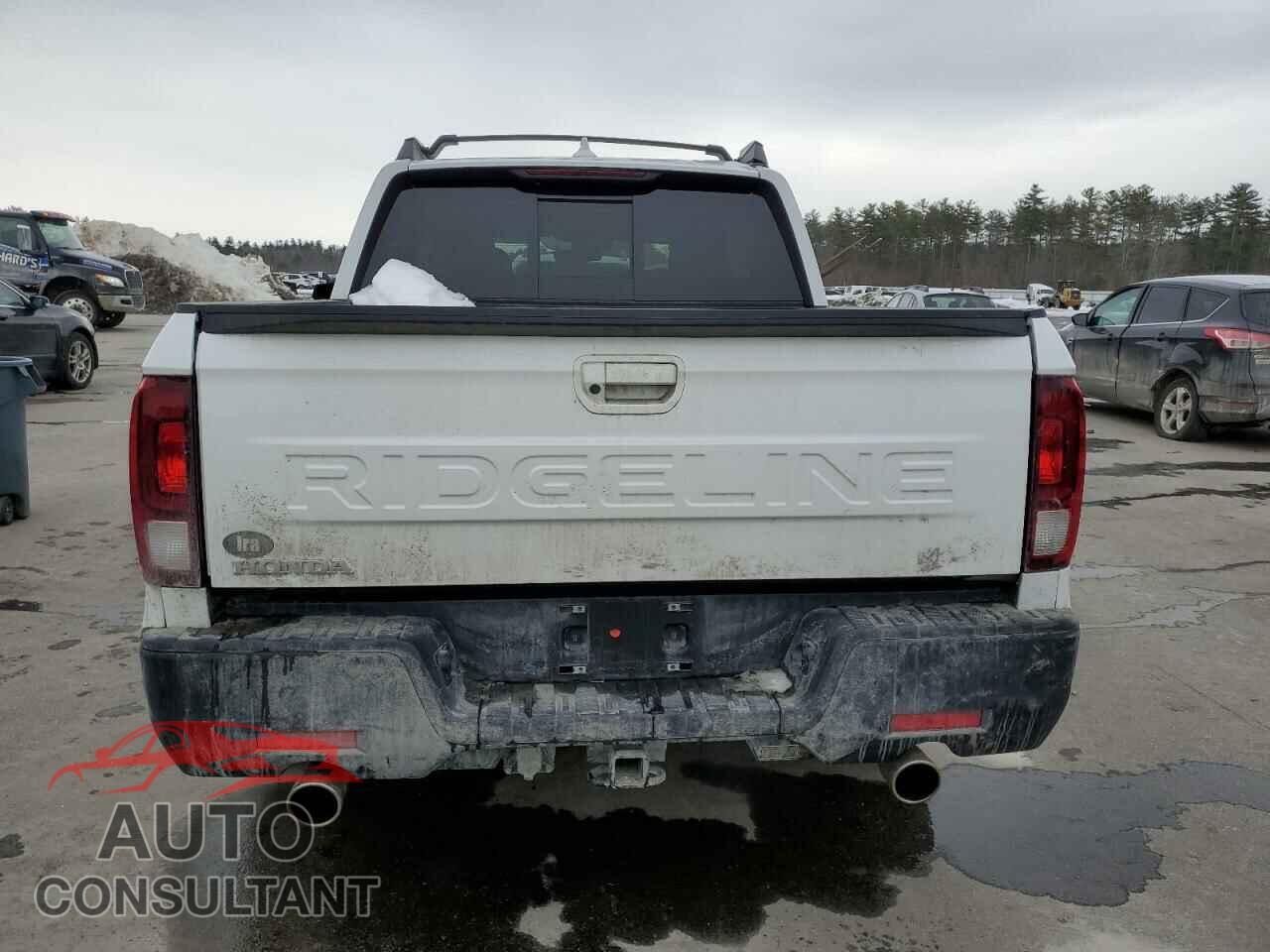HONDA RIDGELINE 2024 - 5FPYK3F53RB014823