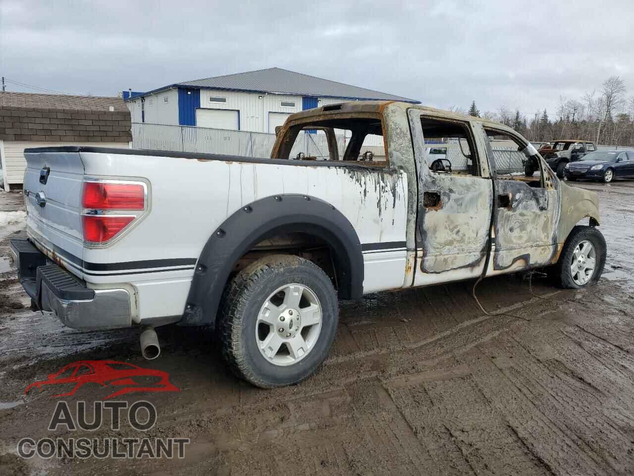 FORD F-150 2013 - 1FTFW1EF2DFD58408