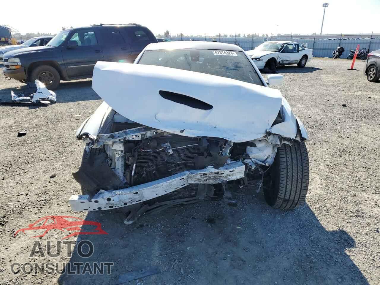 DODGE CHARGER 2019 - 2C3CDXCT2KH630234