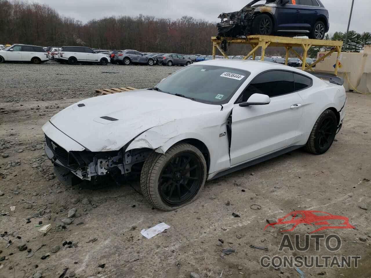 FORD MUSTANG 2019 - 1FA6P8CF6K5121986