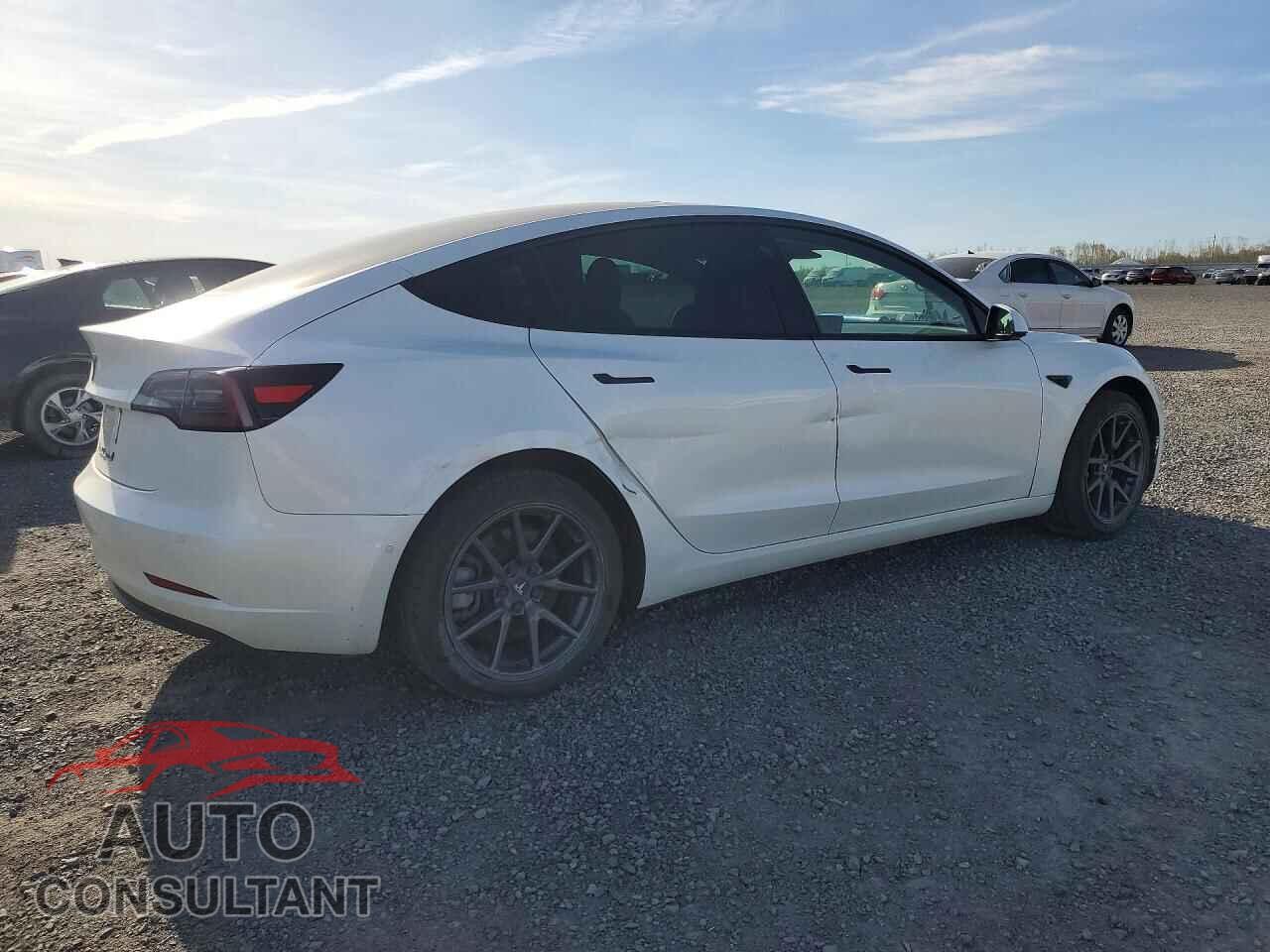 TESLA MODEL 3 2021 - 5YJ3E1EA2MF920385