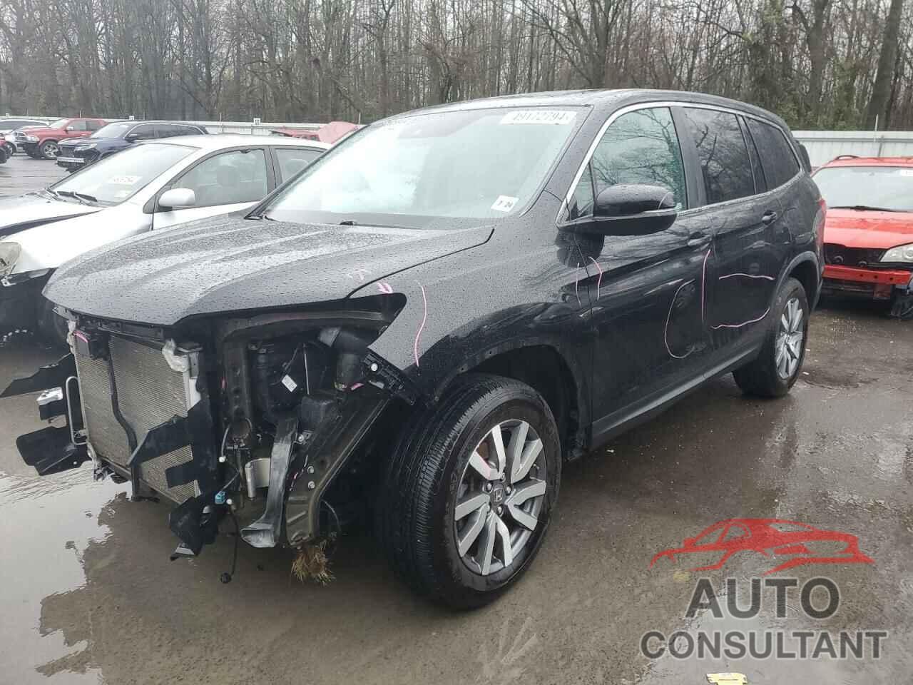 HONDA PILOT 2019 - 5FNYF6H52KB019108