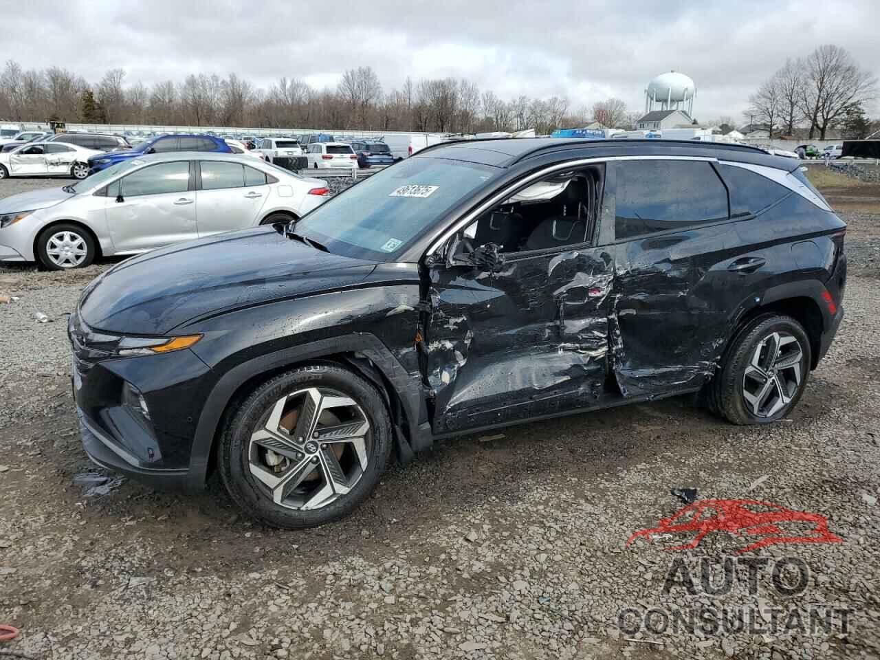HYUNDAI TUCSON 2023 - 5NMJECAE9PH251739