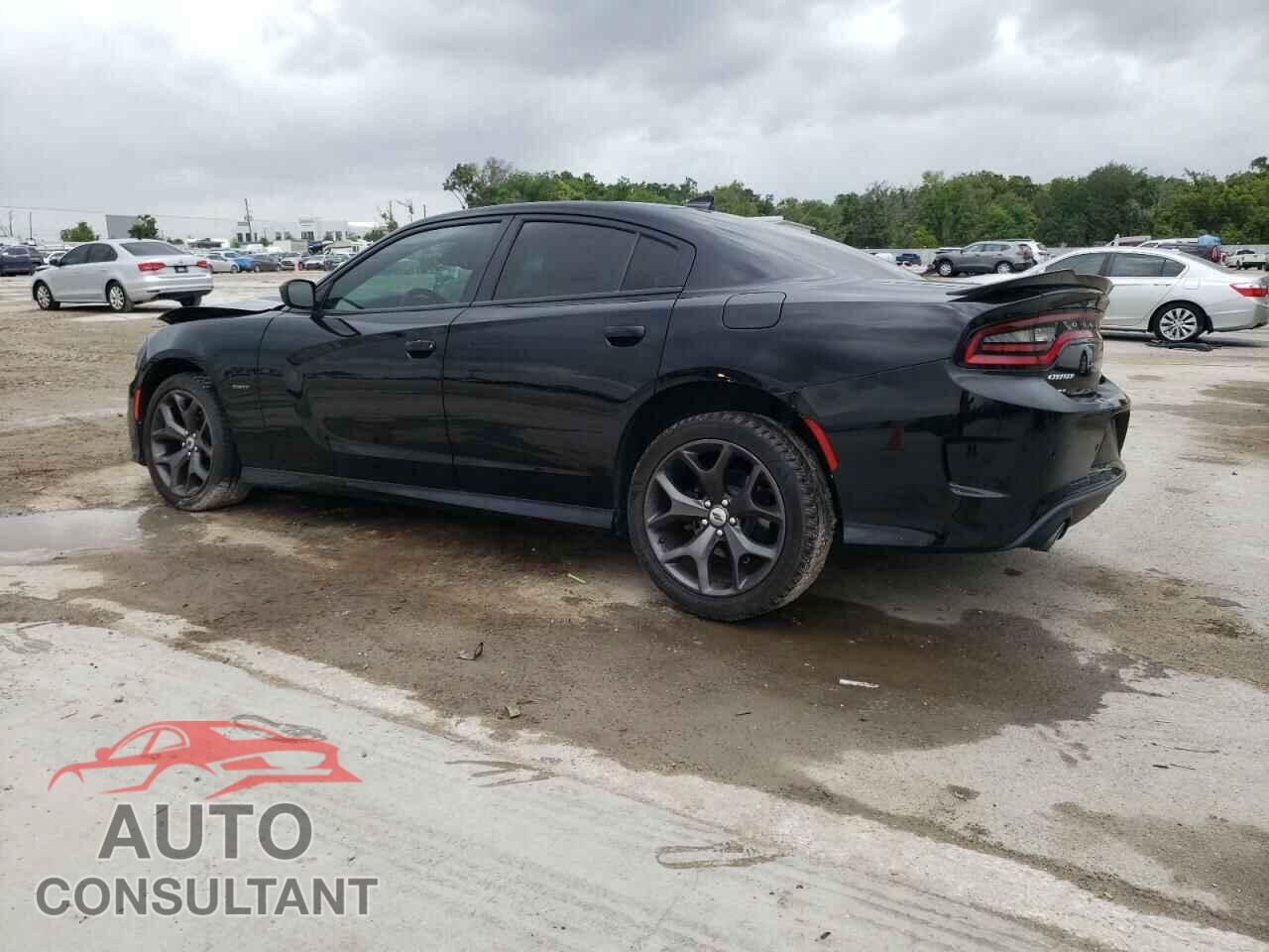 DODGE CHARGER 2019 - 2C3CDXCT7KH757187