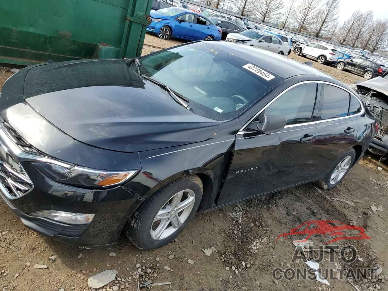 CHEVROLET MALIBU 2019 - 1G1ZB5ST6KF216160