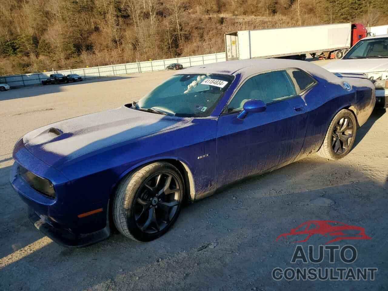 DODGE CHALLENGER 2019 - 2C3CDZBT6KH737638