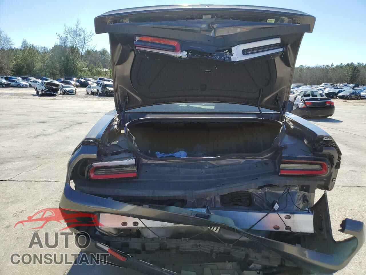 DODGE CHALLENGER 2019 - 2C3CDZAG5KH731494