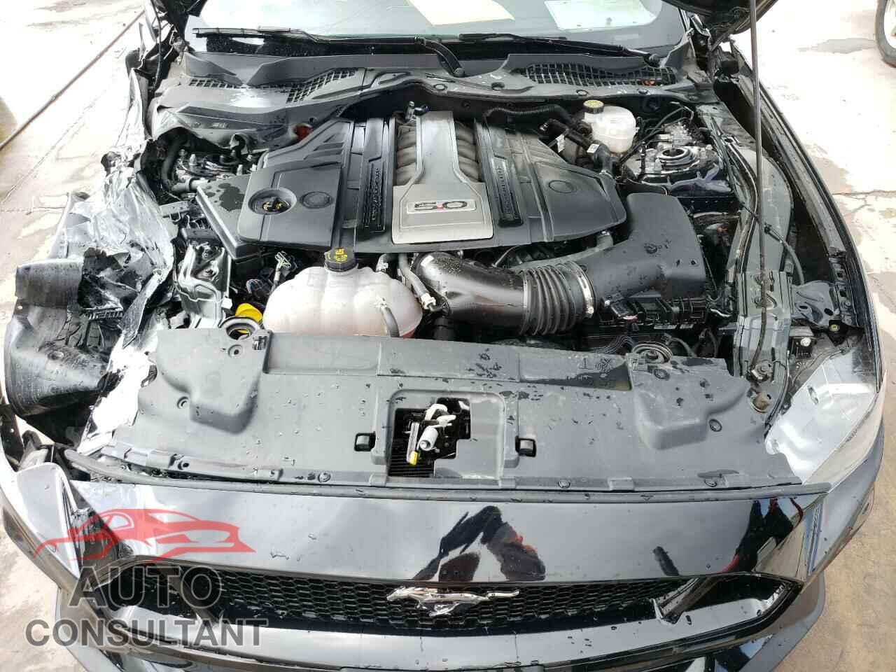 FORD MUSTANG 2019 - 1FA6P8CF2K5185636