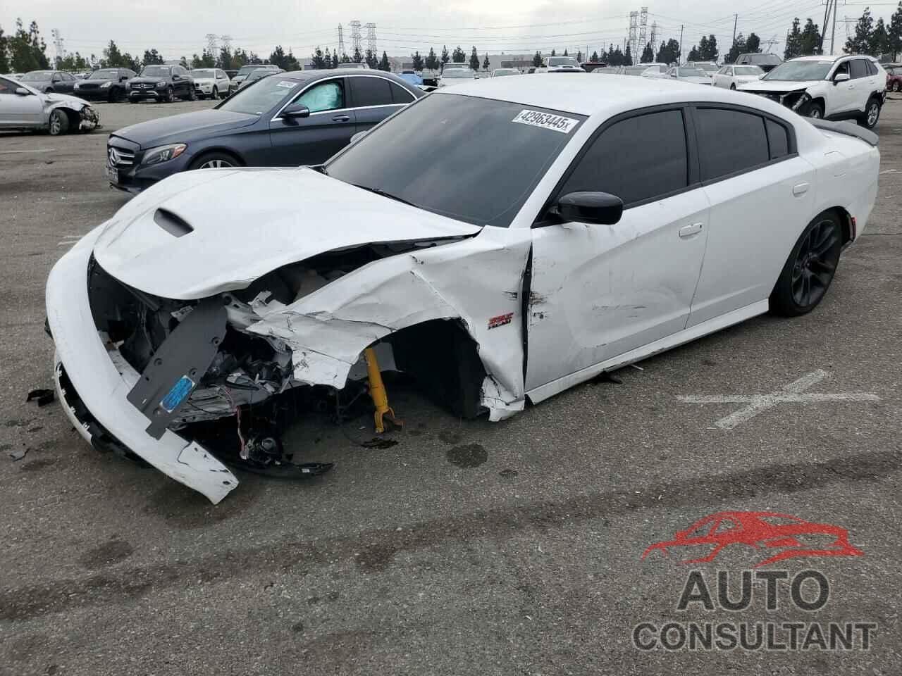 DODGE CHARGER 2023 - 2C3CDXGJ2PH505508
