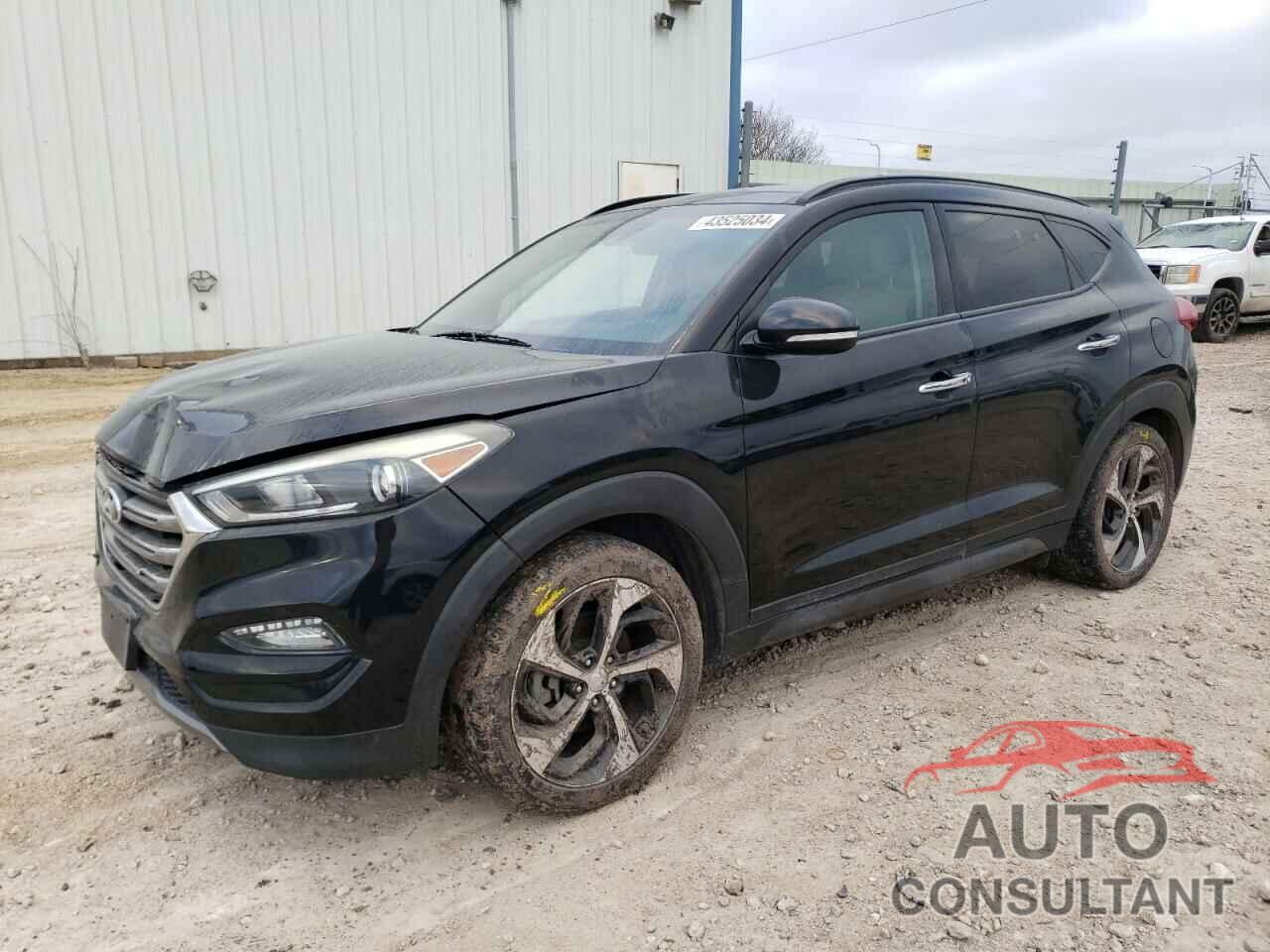 HYUNDAI TUCSON 2016 - KM8J33A20GU222159