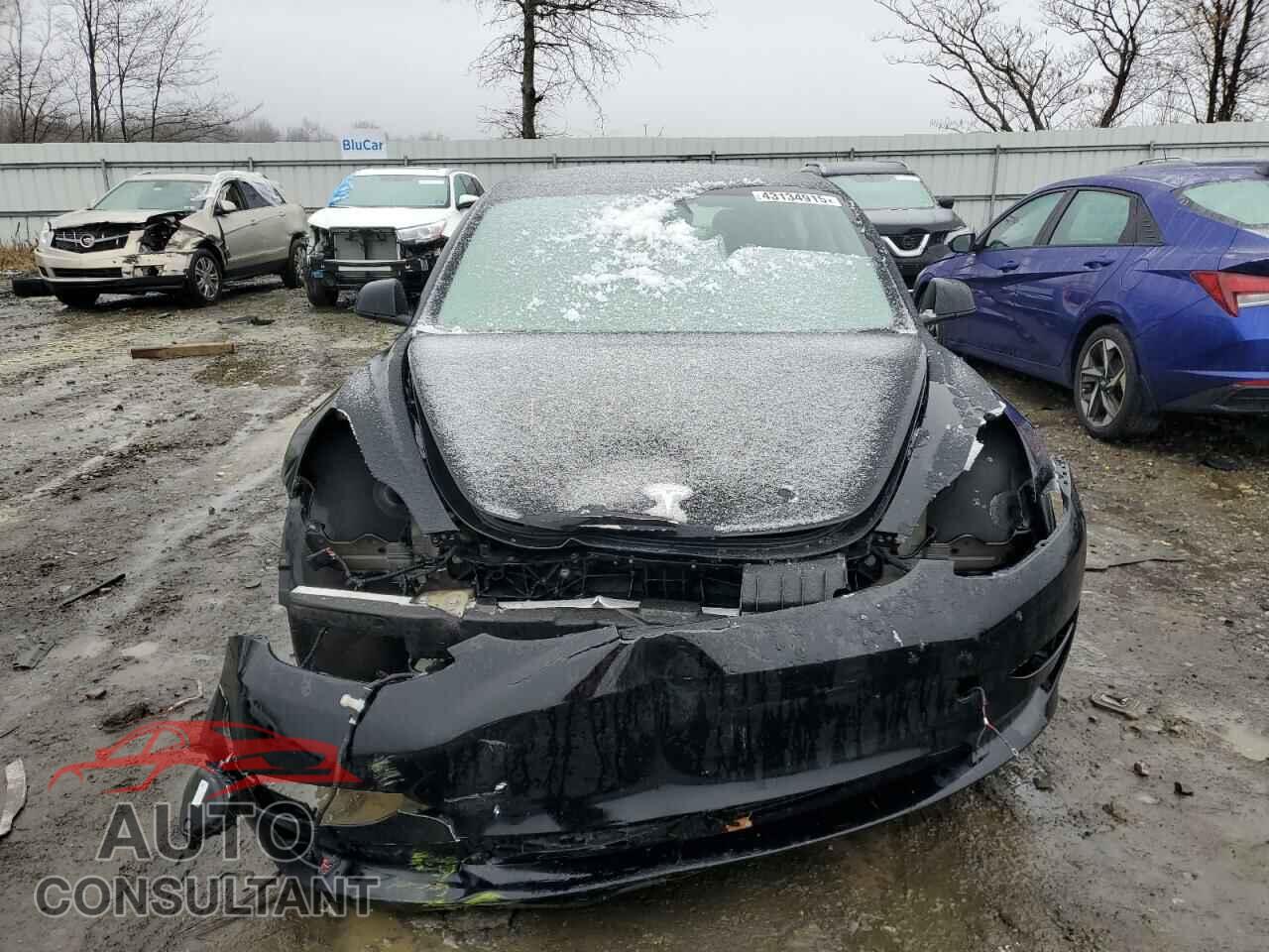 TESLA MODEL 3 2023 - 5YJ3E1EA3PF487440