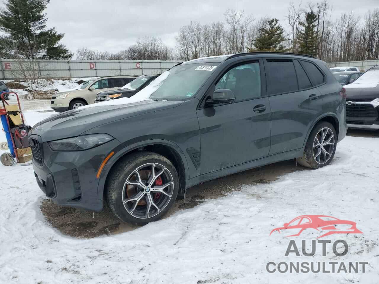 BMW X5 2024 - 5UX23EU08R9U81596