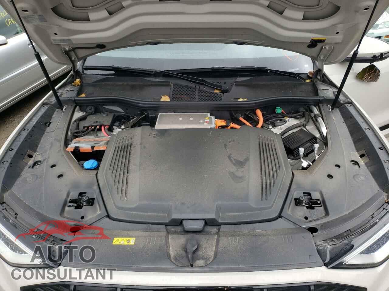 AUDI E-TRON 2021 - WA1AAAGE3MB014004