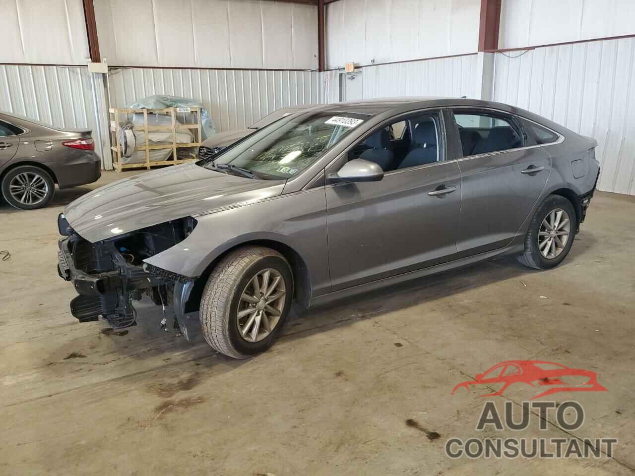 HYUNDAI SONATA 2019 - 5NPE24AF0KH745248