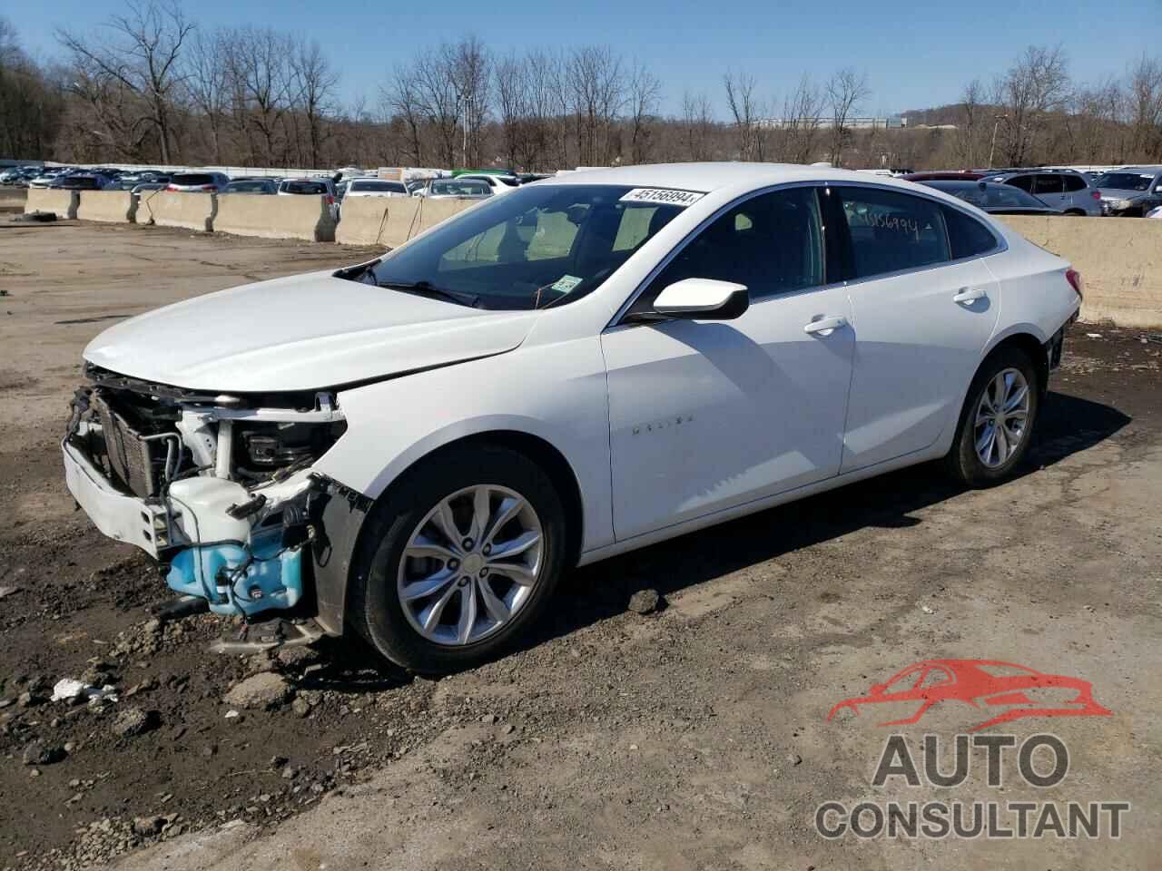 CHEVROLET MALIBU 2019 - 1G1ZD5ST1KF143323