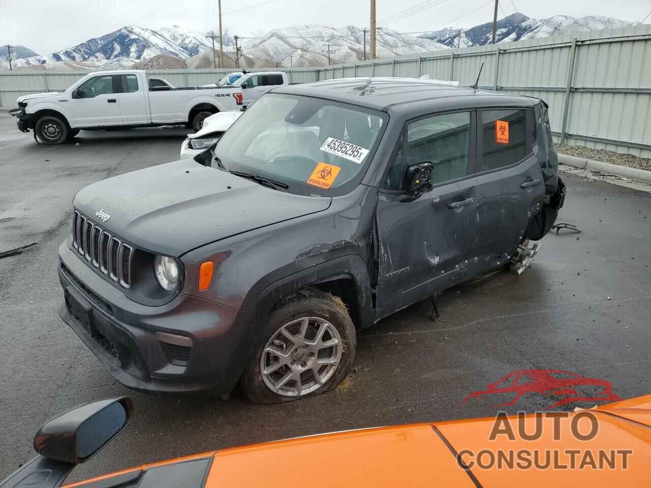 JEEP RENEGADE 2023 - ZACNJDB16PPP21487