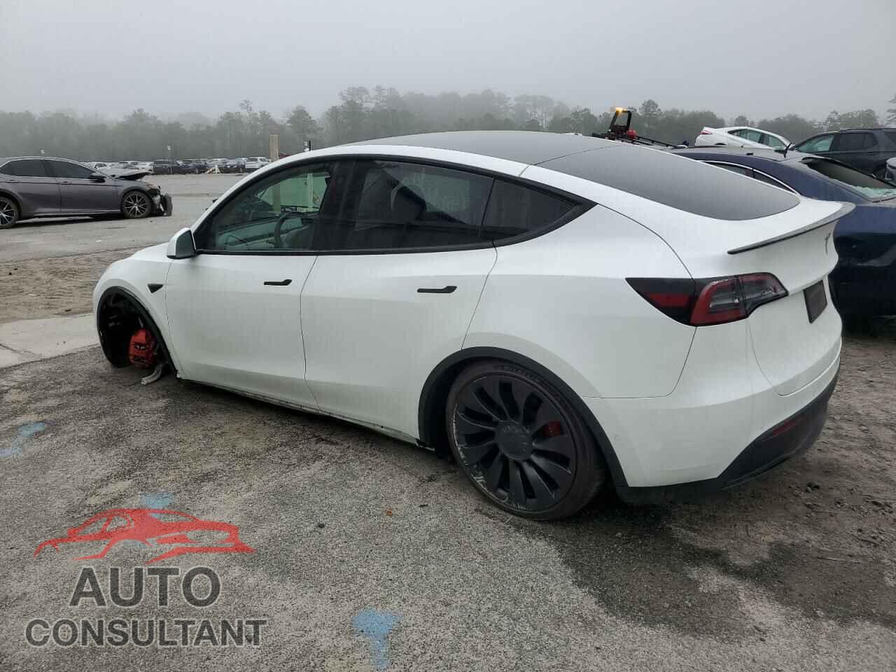 TESLA MODEL Y 2022 - 7SAYGDEF8NF454589