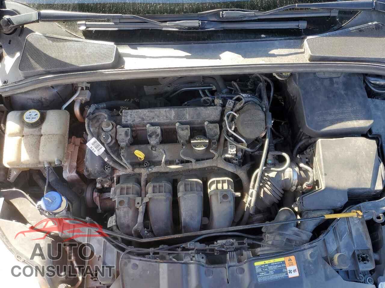 FORD FOCUS 2012 - 1FAHP3K24CL430055