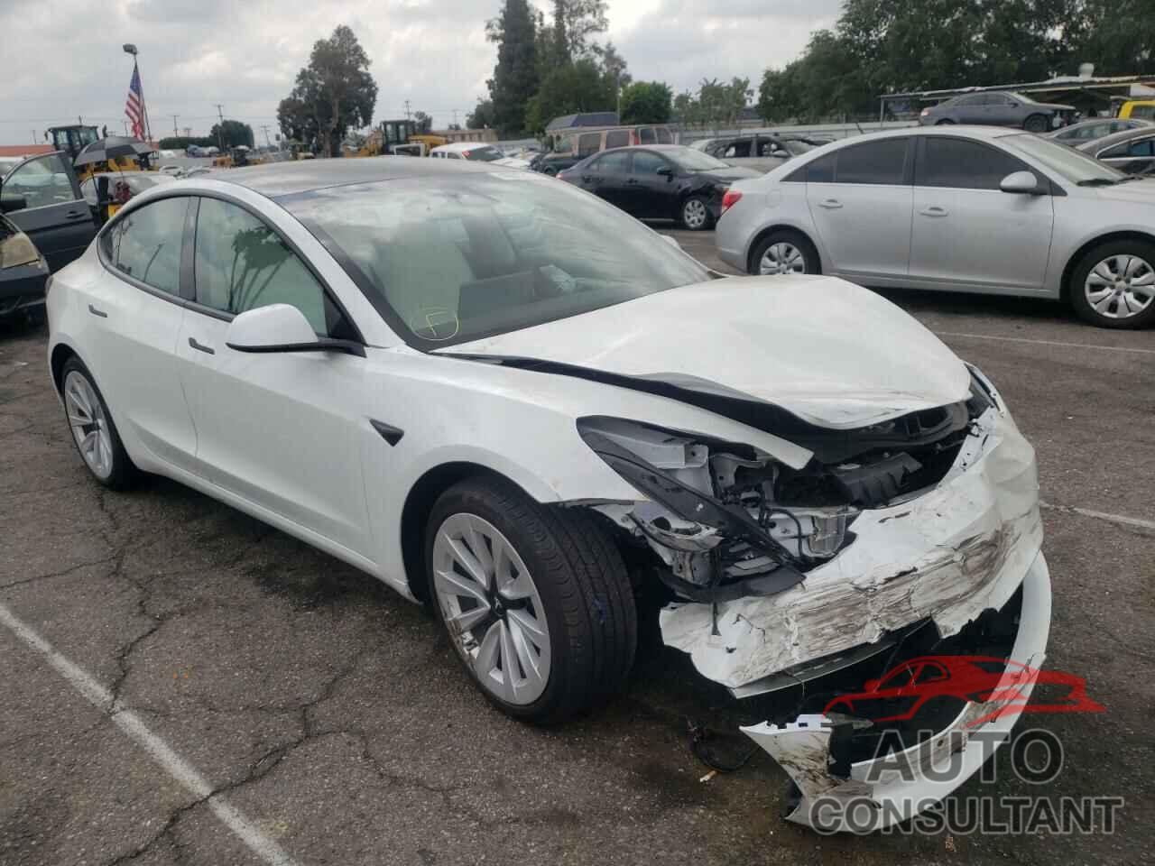 TESLA MODEL 3 2021 - 5YJ3E1EA0MF046909