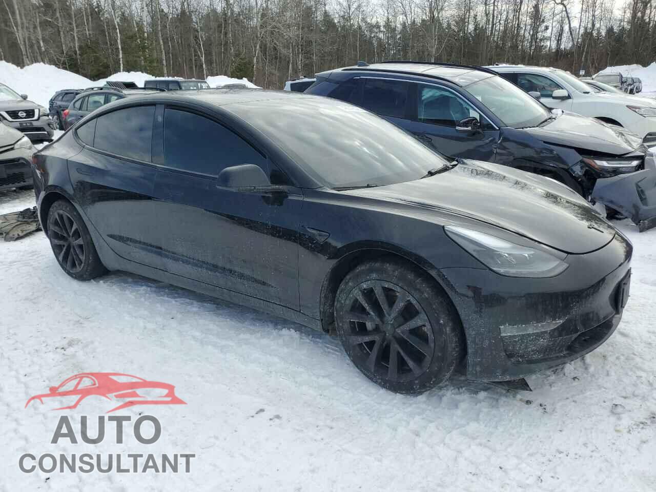 TESLA MODEL 3 2023 - LRW3E1FA7PC899644