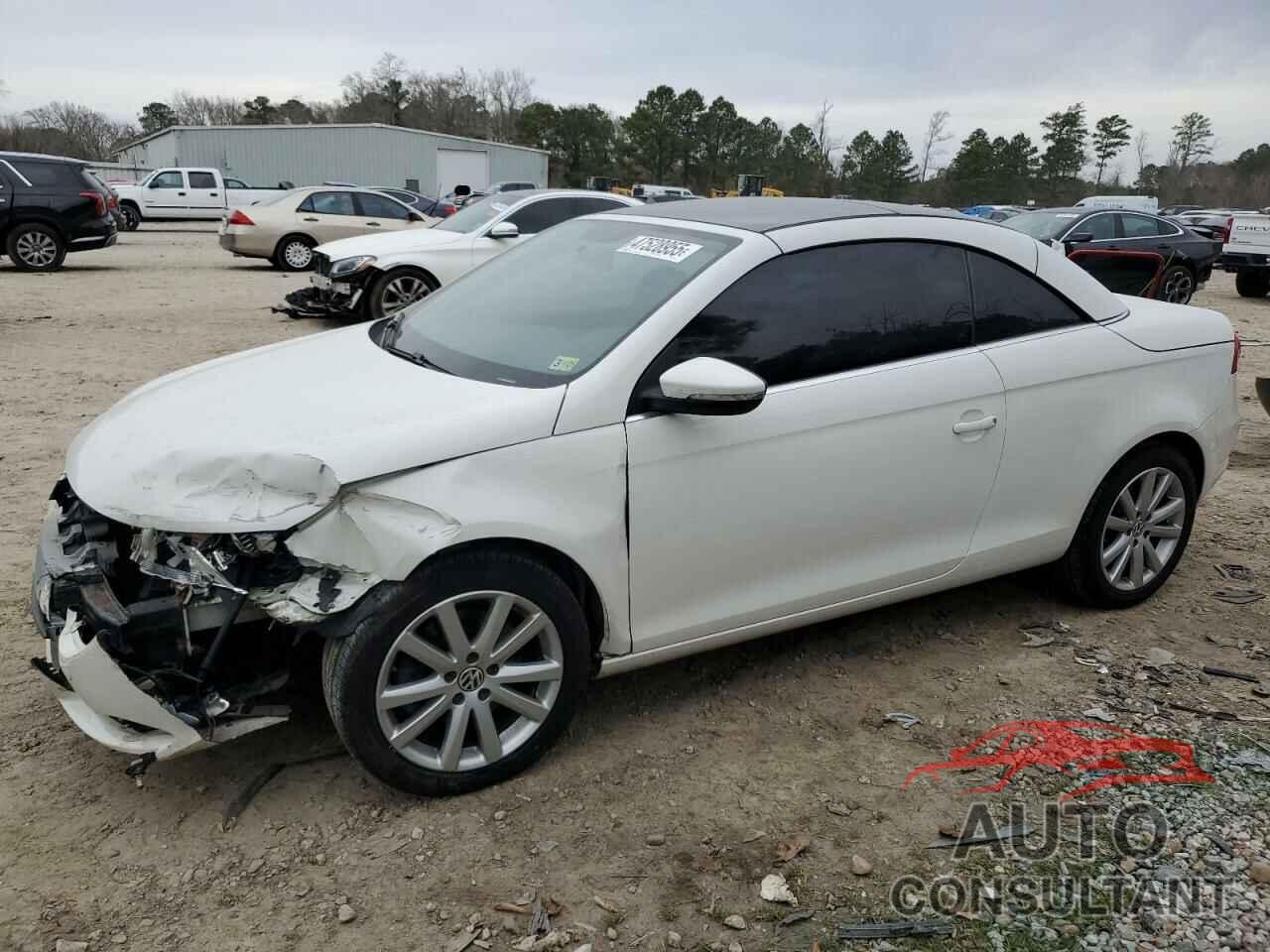 VOLKSWAGEN ALL OTHER 2009 - WVWBA71F09V013221