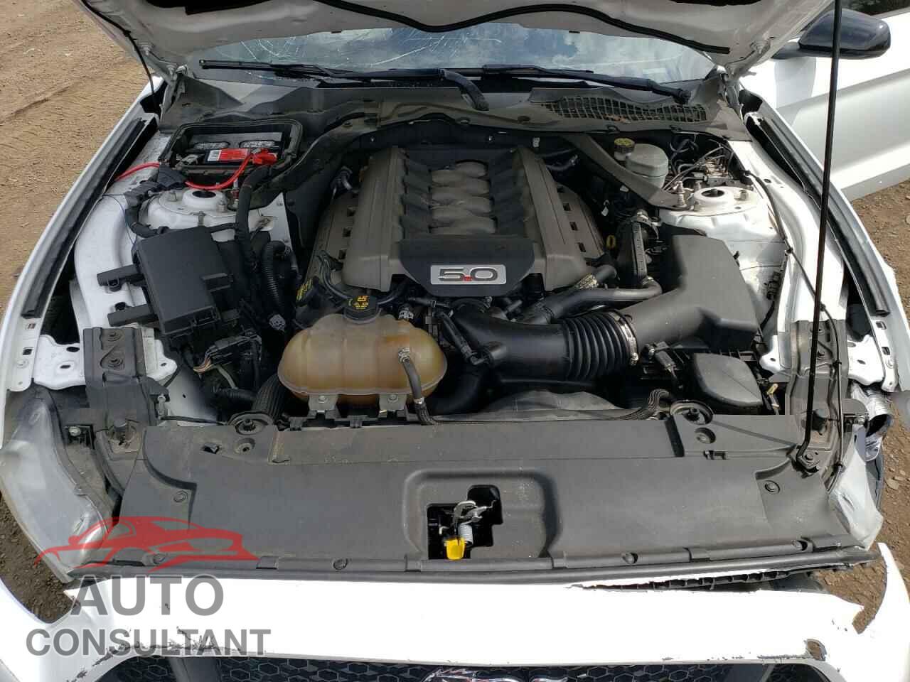 FORD MUSTANG 2015 - 1FA6P8CF5F5319139
