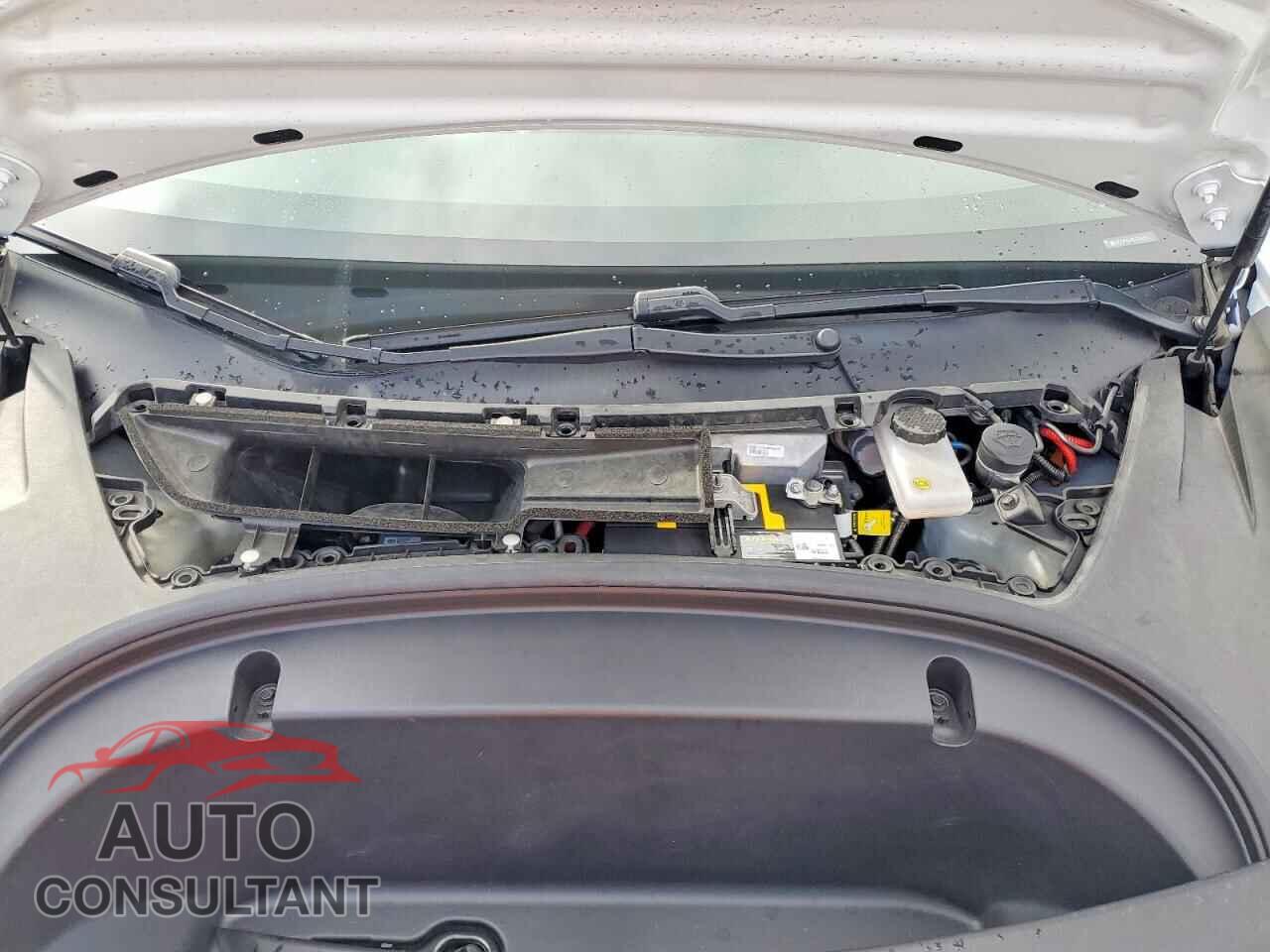 TESLA MODEL 3 2020 - 5YJ3E1EA8LF645054