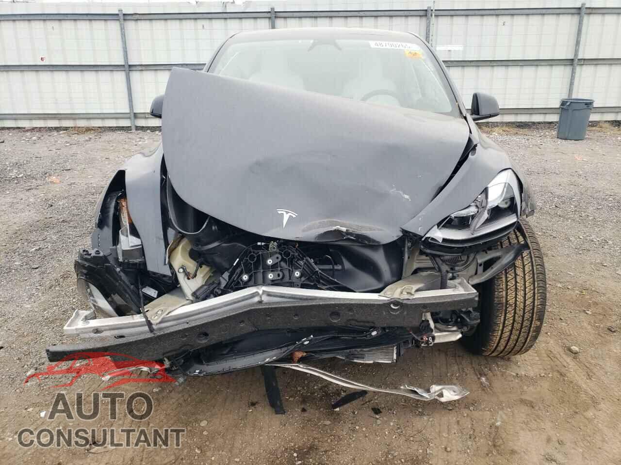 TESLA MODEL Y 2024 - 7SAYGDED2RF037005