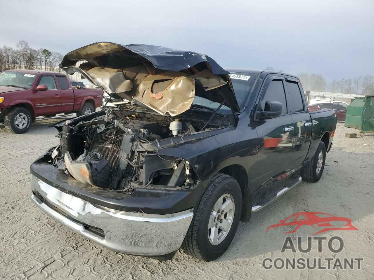 DODGE All Models 2010 - 1D7RB1GP7AS245450