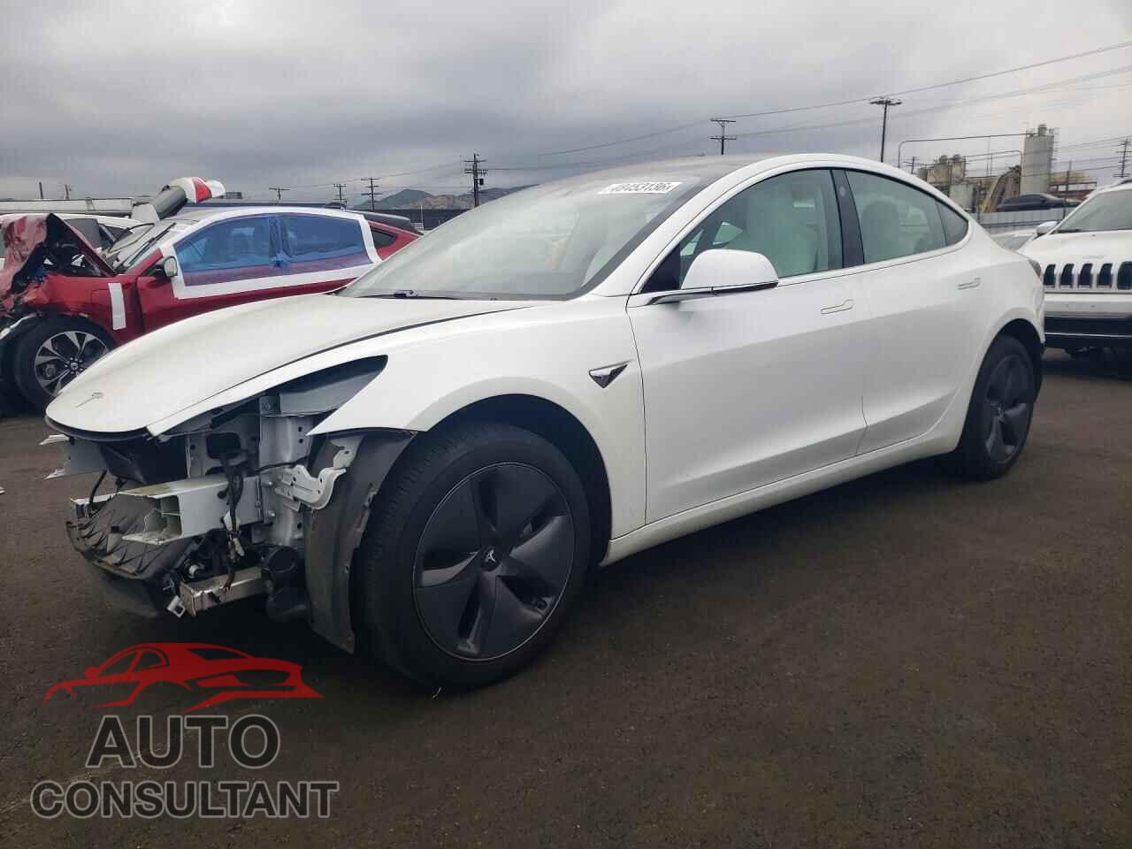 TESLA MODEL 3 2019 - 5YJ3E1EA1KF509248