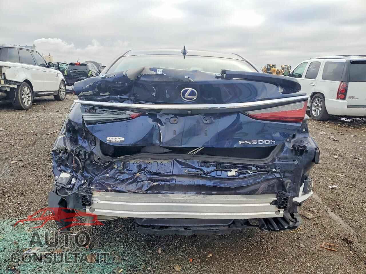 LEXUS ES300 2022 - 58AEA1C19NU021009