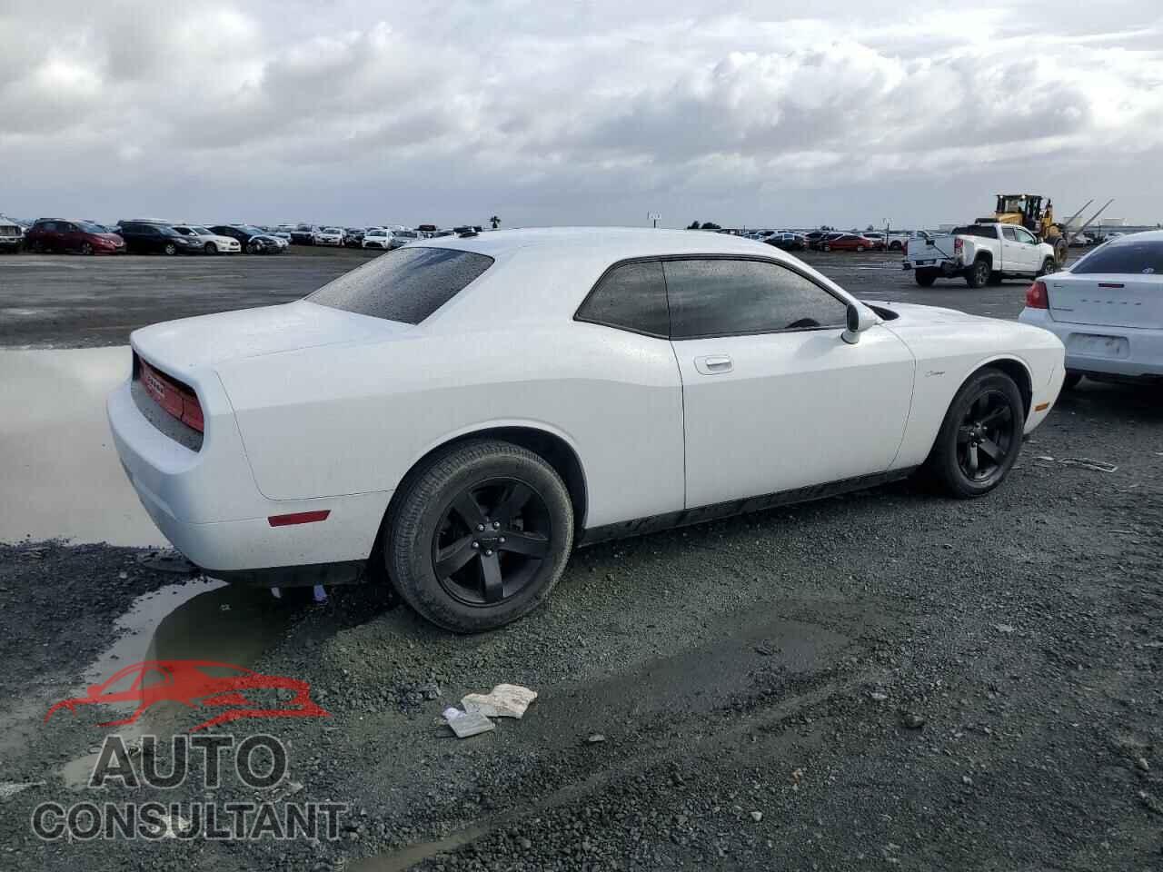 DODGE CHALLENGER 2010 - 2B3CJ4DVXAH322540