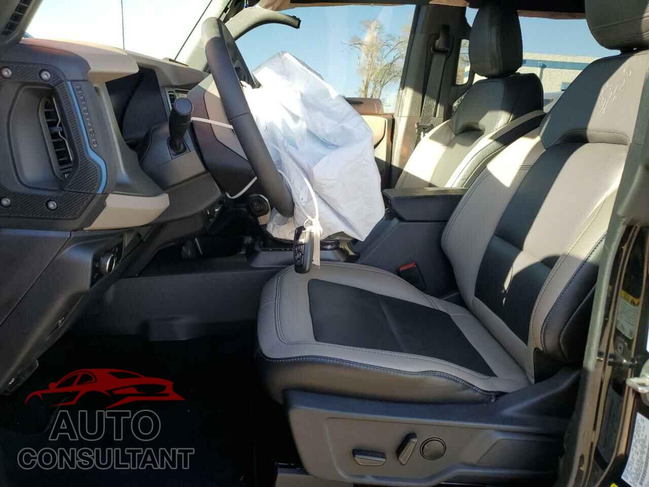 FORD BRONCO WIL 2024 - 1FMEE2BP3RLB31198