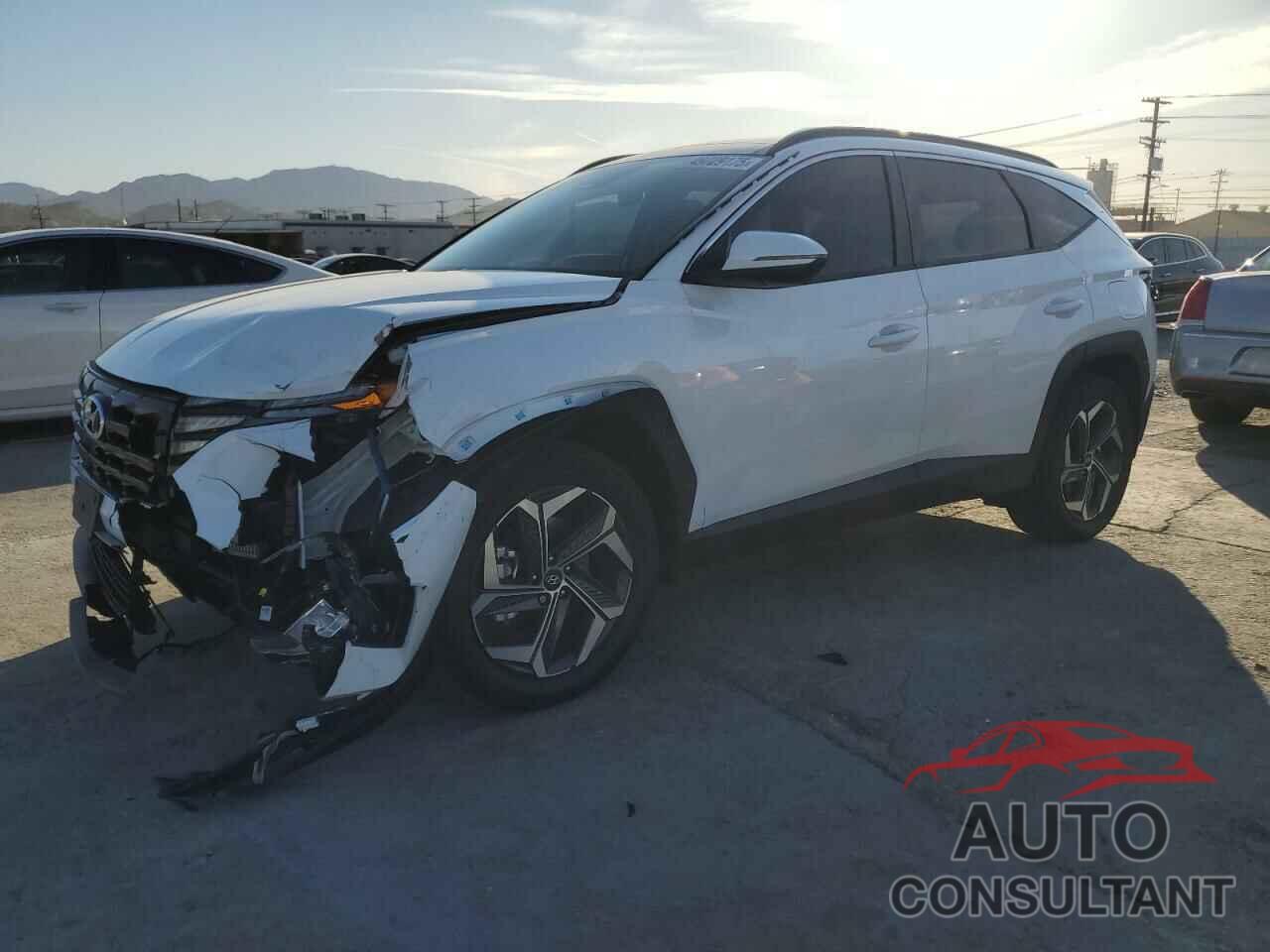 HYUNDAI TUCSON 2024 - KM8JCCD15RU214841
